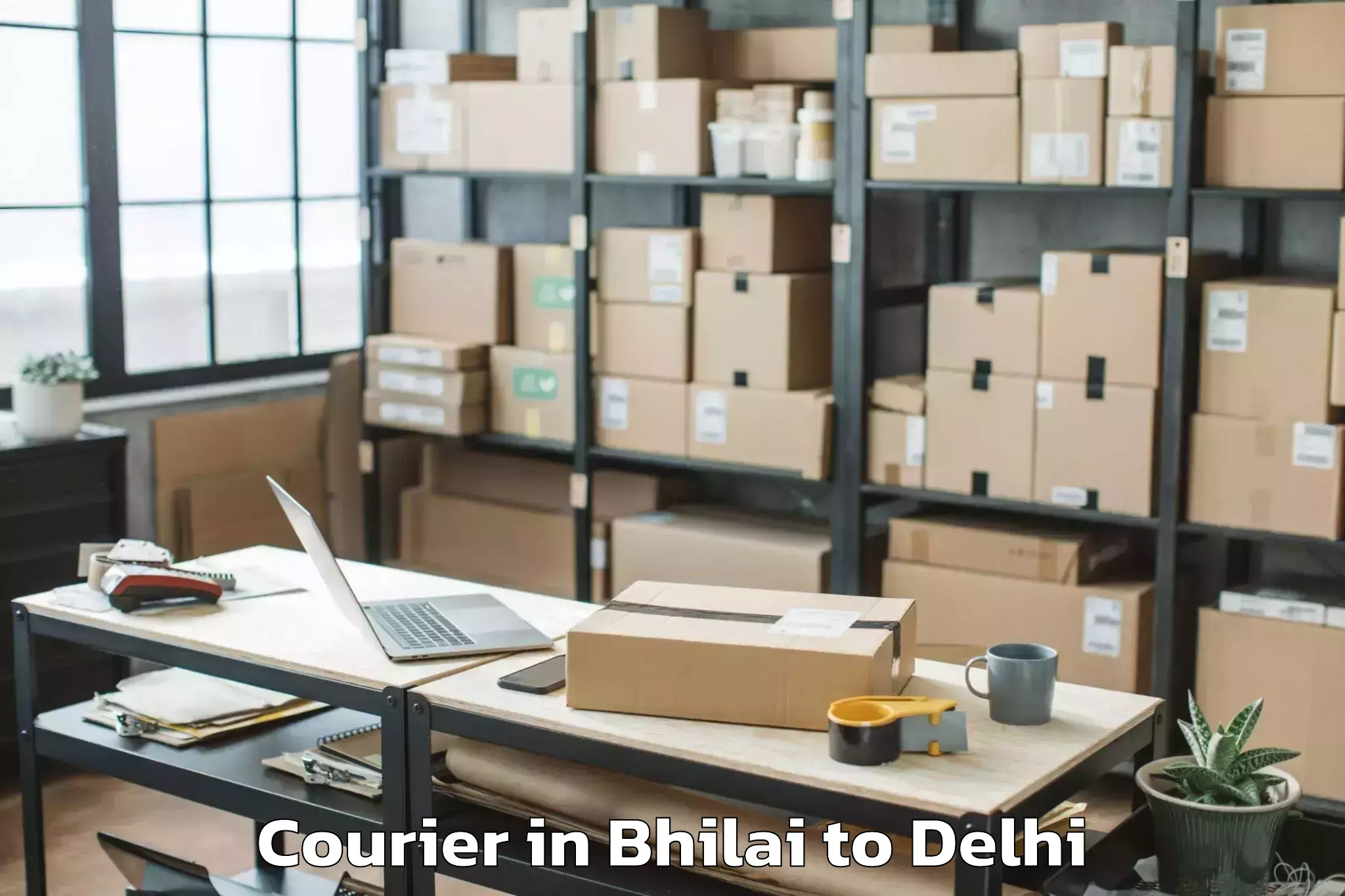 Professional Bhilai to Parsvnath Mall Akshardham Courier